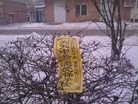 Published on 1/5/2013 ֹ,Ԫ峿ӳѩĿ
