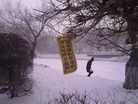 Published on 1/5/2013 ֹ,Ԫ峿ӳѩĿ
