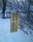 Published on 1/5/2013 ֹ,Ԫ峿ӳѩĿ
