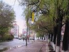 Published on 5/13/2013 ֹ,һִ֮ʴ½س(ͼ)
