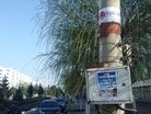 Published on 5/14/2013 ֹ,ףա½س(ͼ)
