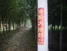 Published on 9/23/2013 ֹ,һ¶ʮմ½ۺϢ 
