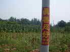 Published on 9/23/2013 ֹ,һ¶ʮմ½ۺϢ 

