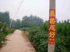 Published on 9/23/2013 ֹ,һ¶ʮմ½ۺϢ 
