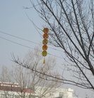 Published on 2/1/2014 ֹ,ڼӱȵسֵ 
