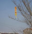 Published on 2/1/2014 ֹ,ڼӱȵسֵ 
