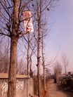 Published on 2/11/2014 ֹ,ڼɽĳй··ߵＰ 

