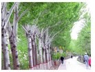 Published on 5/15/2014 ֹ,й人ɵȵسף編ִ 
