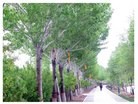 Published on 5/15/2014 ֹ,й人ɵȵسף編ִ 
