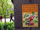 Published on 5/19/2014 ֹ,編ִڼ䣬½ص 
