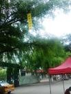 Published on 9/29/2014 ֹ,һ¶ʮմ½ۺϢ 
