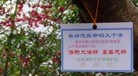 Published on 3/30/2015 ֹ,㲽;ҵ࿨Ƭ 

