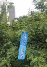 Published on 6/30/2015 ֹ,С԰ȶദ֡󽭡 
