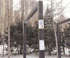 Published on 1/23/2016 ֹ,½չעĿ4 
