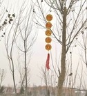 Published on 1/5/2016 ֹ,½չעĿ2 
