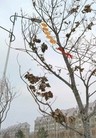 Published on 1/5/2016 ֹ,½չעĿ2 
