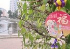 Published on 10/3/2016 ֹ,½չ塢 