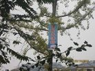 Published on 11/1/2016 ֹ,ͼƬ½չ塢 