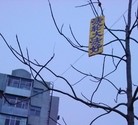 Published on 2/13/2016 ֹ,ڼ½ؿɼ 

