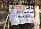 Published on 2/17/2016 ֹ,ڼ½صչ壨3 
