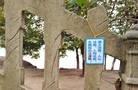 Published on 2/17/2016 ֹ,Ĵϳ乫԰ֵദɼճ 
