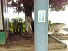 Published on 2/17/2016 ֹ,Ĵϳ乫԰ֵദɼճ 
