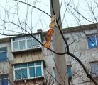 Published on 3/1/2016 ֹ,½صչ壨5 
