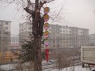 Published on 3/1/2016 ֹ,½صչ壨5 
