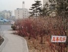 Published on 3/15/2016 ֹ,½չ壨8 
