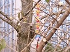 Published on 3/3/2016 ֹ,½صչ壨6 
