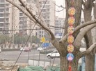 Published on 3/3/2016 ֹ,½صչ壨6 
