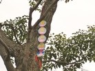 Published on 3/3/2016 ֹ,½صչ壨6 
