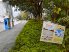 Published on 3/7/2016 ֹ,½չ壨7 
