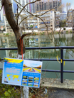 Published on 3/7/2016 ֹ,½չ壨7 
