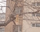 Published on 4/27/2016 ֹ,й½ص 
