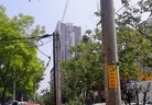 Published on 5/2/2016 ֹ,ʯׯɡϡȵص 
