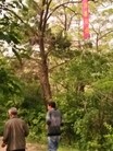 Published on 6/20/2016 ֹ,½չ塢 
