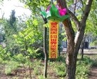 Published on 6/13/2016 ֹ,չ塢Ҵ 
