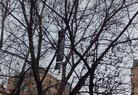 Published on 1/4/2017 ֹ,½ 