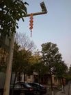 Published on 1/31/2017 ֹ,ϡȵصҡչ崫 