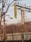 Published on 3/31/2017 ֹ,ȵչ崫 