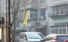Published on 3/31/2017 ֹ,ȵչ崫 