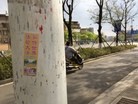 Published on 3/31/2017 ֹ,ȵչ崫 
