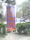 Published on 5/3/2017 ֹ,ִ󷨺áڴ½㴫 