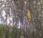 Published on 5/3/2017 ֹ,ִ󷨺áڴ½㴫 