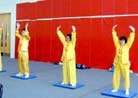 Published on 3/2/2002 Clarifying the Truth of Falun Gong to Colleagues at the Oracle Corporation 