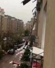 Published on 5/12/2017 ֹ,籩СѮ̫ҵʦ 
