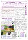 Published on 10/25/2009 法轮功,法轮大法明慧网 - 真相传单：救生方舟