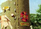 Published on 4/26/2002 Dafa Banners in Hebei Province, China on April 25, 2002 