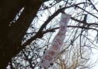 Published on 12/25/2001 A Report of Changchun Falun Dafa Day: Dafa Banners in the Streets of Changchun 
